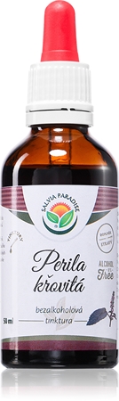 Salvia Paradise Perilla krzewiasta nalewka na prawidłowe funkcjonowanie układu oddechowego