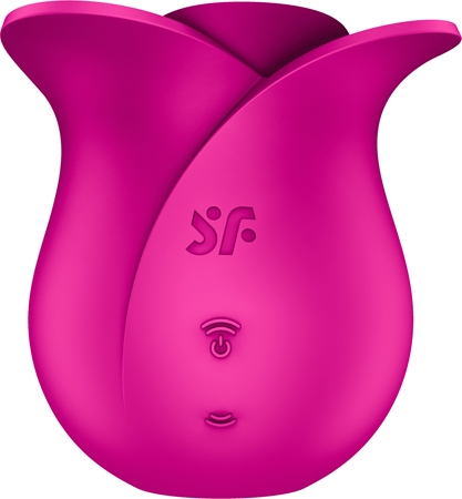 Satisfyer PRO 2 Modern Blossom Klitoris-Stimulator | NOTINO