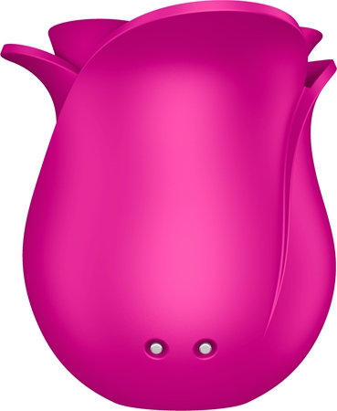Satisfyer PRO 2 Modern Blossom clitoral stimulator