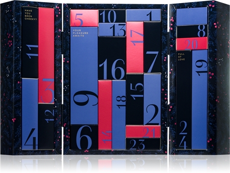 Satisfyer Advent Calendar Premium advento kalendorius