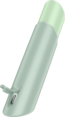 Satisfyer Kiss Naughty Stimulator