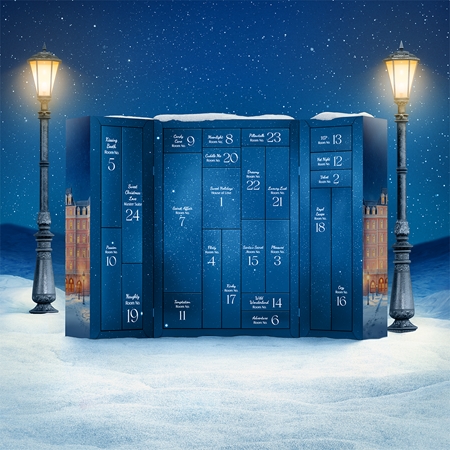 Satisfyer House of Love Premium 2025 Advent Calendar