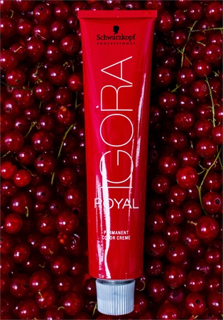 Schwarzkopf Professional IGORA Royal Hair Color