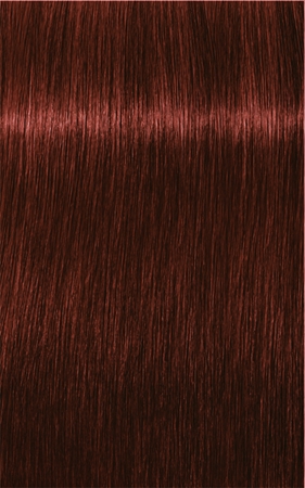 Schwarzkopf Professional IGORA Royal Absolutes barva na vlasy