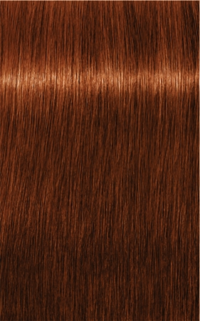 Schwarzkopf Professional IGORA Royal Absolutes Hårfärg