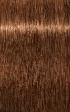 Schwarzkopf Professional IGORA Royal Absolutes barva na vlasy