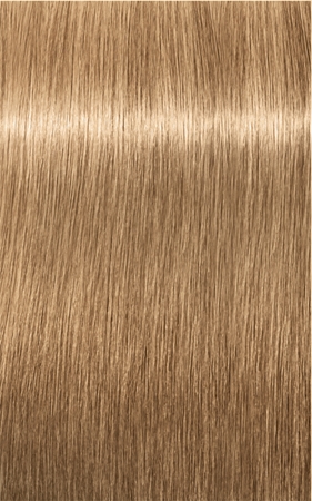 Schwarzkopf Professional IGORA Royal Absolutes farba na vlasy