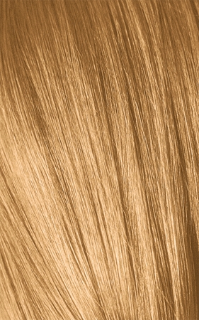 Schwarzkopf Professional IGORA Royal Absolutes coloration cheveux