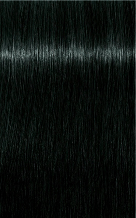 Schwarzkopf Professional IGORA Royal Hair Color