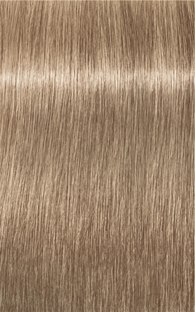 Schwarzkopf Professional IGORA Royal barva za lase