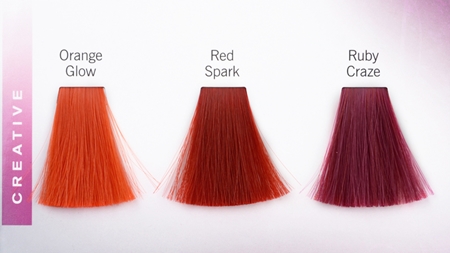 Schwarzkopf Professional Igora Color Gloss Haarfarbe