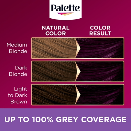 Schwarzkopf Palette Deluxe Püsijuuksevärv