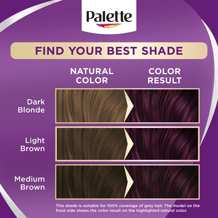 Schwarzkopf Palette Intensive Color Creme Püsijuuksevärv