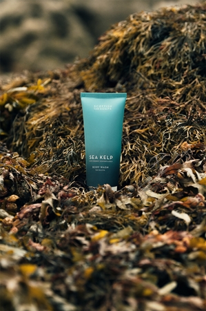 Scottish Fine Soaps Sea Kelp Duschtvål