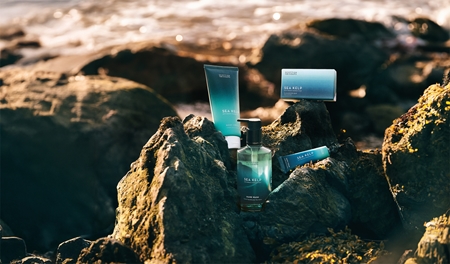 Scottish Fine Soaps Sea Kelp Handkräm