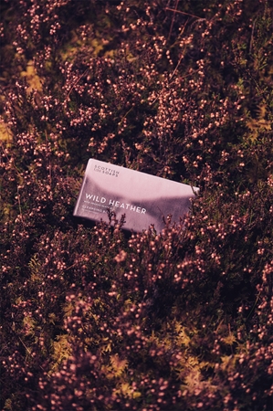 Scottish Fine Soaps Wild Heather čisticí tuhé mýdlo