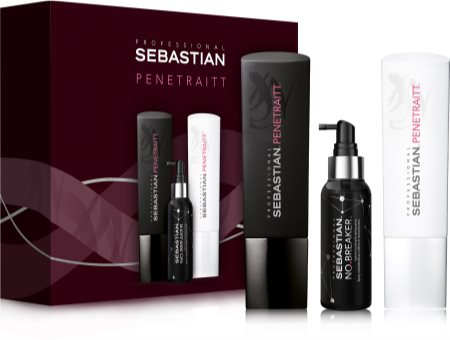 Sebastian Professional Penetraitt Presentförpackning (För skadat, kemiskt behandlat hår)