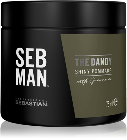 Sebastian Professional SEB MAN The Dandy Haarpomade für natürliche Fixation