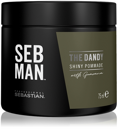 Sebastian Professional SEB MAN The Dandy Hårpomada För naturlig fixering