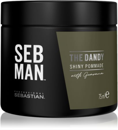 Sebastian Professional SEB MAN The Dandy Πομάδα μαλλιών για φυσικό κράτημα