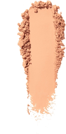 Shiseido Synchro Skin Self-Refreshing Custom Finish Powder Foundation Powder Foundation