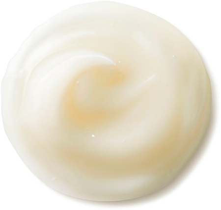 Shiseido Benefiance NutriPerfect Eye Serum Eye Serum