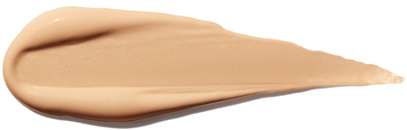 Shiseido Synchro Skin Self-Refreshing Concealer liquid concealer