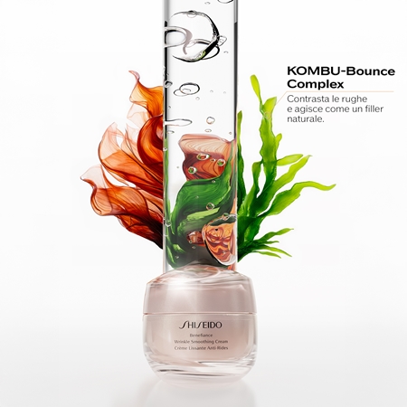 Shiseido Benefiance Wrinkle Smoothing Cream crema antirughe giorno e notte per tutti i tipi di pelle