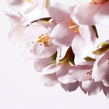 Shiseido White Lucent Illuminating Micro-Spot Serum zosvetľujúce korekčné sérum proti pigmentovým škvrnám