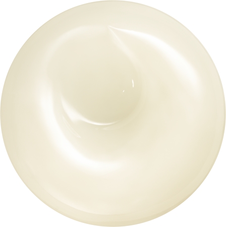 Shiseido Men Total Revitalizer Cream denní krém