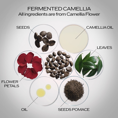 Shiseido Ultimune Power Infusing Serum Anti-Aging Serum
