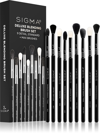 Professional brush best sale set