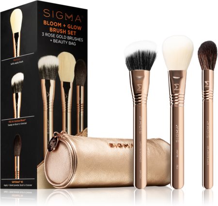 Sigma Beauty Brush Set Bloom + Glow set di pennelli con custodia