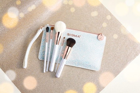 Sigma Beauty Brush Set Holiday Glam conjunto de pincéis de viagem com nécessaire