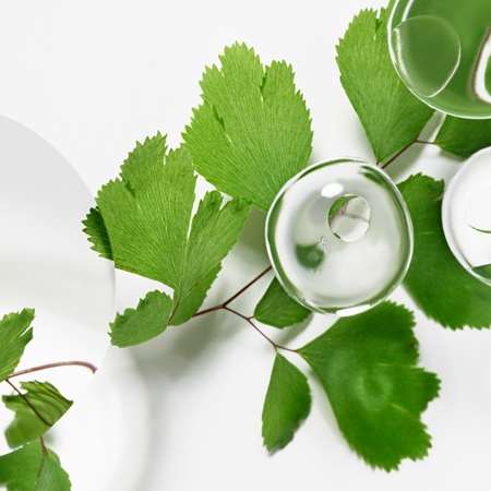 Sisley Ecological Compound Day and Night Hydraterende Emulsie met Regenererende Werking