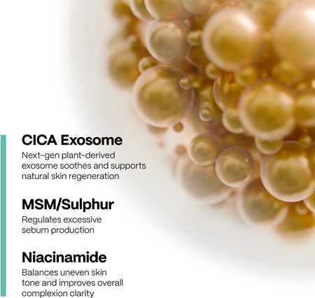 SKINSOO PurifyCell Exosome Light Cream Light Moisturizing Cream with mattifying effect