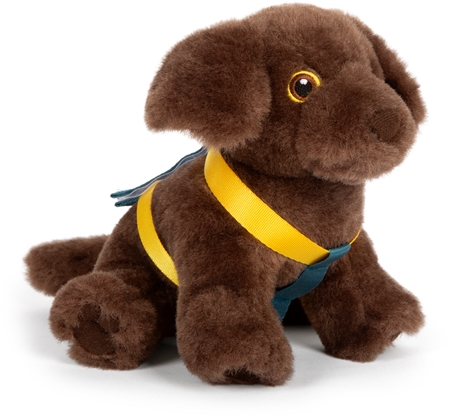 Small foot by Legler Plush Dog with Care Kit plyšová hračka