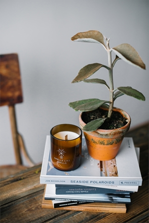 Smells Like Spells Norse Magic Freyr Duftkerze mit Holzdocht (wealth/abundance)