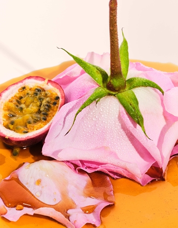 Sol de Janeiro Rosa & Shine Presentförpackning för Kvinnor