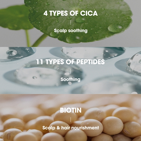 Some By Mi Cica Peptide Derma Scalp Shampoo Förstärkning schampo mot håravfall med lugnande egenskaper
