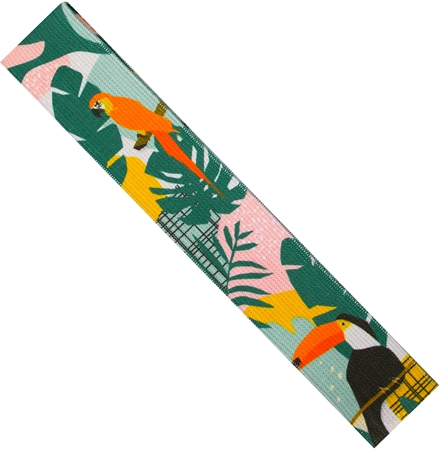 Spokey Home Jungle fascia di resistenza