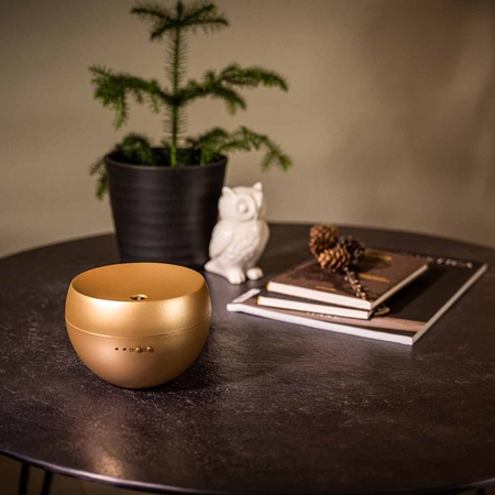 Stadler Form Diffuser Jasmine Diffusore per ambienti a ultrasuoni colore Gold