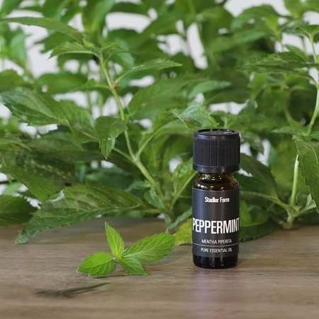 Stadler Form Peppermint essential oil
