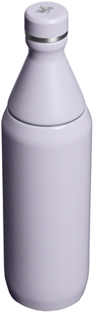 Stanley All Day Slim Bottle gourde en inox