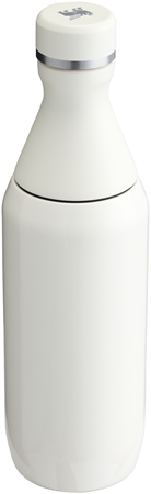 Stanley All Day Slim Bottle gourde en inox petit format