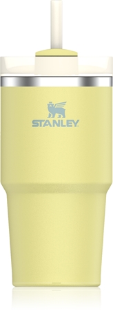 Stanley Quencher H2.O FlowState™ Tumbler copo de aço inoxidável com palhinha pequeno