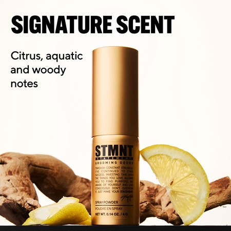 STMNT Staygold Spray Powder spray poudre définition et forme