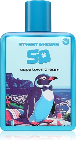 street origins cape town dream