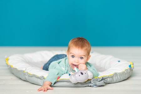Taf Toys Rattle Koala Kimmi rattle