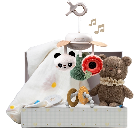 Taf Toys Luxury Newborn Kit dovanų rinkinys kūdikiams